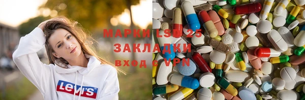 стаф Каменск-Шахтинский