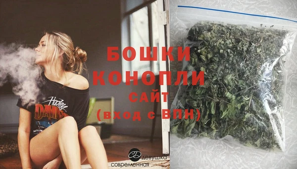 стаф Каменск-Шахтинский