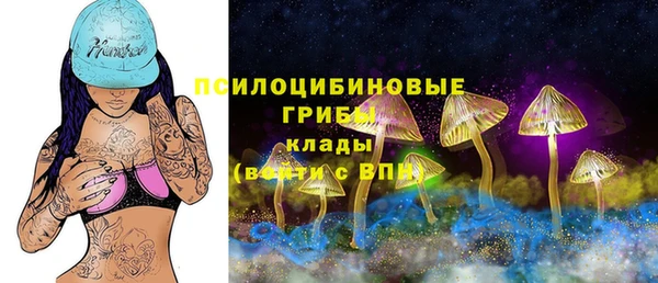 стаф Каменск-Шахтинский