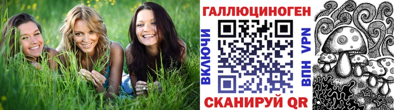 Галлюциногенные грибы GOLDEN TEACHER  Купить  Куровское 
